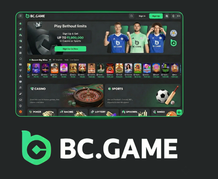 Discover the Thrill of BC.Game Casino Your Ultimate Gaming Experience Discover the Thrill of BC.Game Casino Your Ultimate Gaming Experience